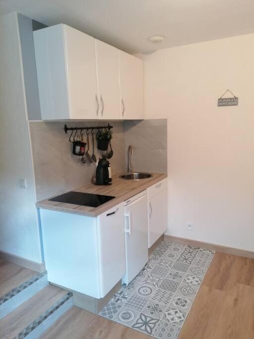 Location Appartement T2 38 M2 2 Chambres Allevard Dış mekan fotoğraf